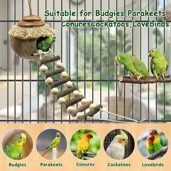 Птица от естествени кокосови черупки Със стълби Птичи къщичка за гнездене на Клетка Играчки и аксесоари За ландшафтен дизайн, за да проверите за папагали Parrot