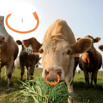 Пръстен за Бичи носа Ферма, Оборудване За транспортиране на едър рогат добитък Пластмасови Клещи С перфорации, за да проверите за животновъдството